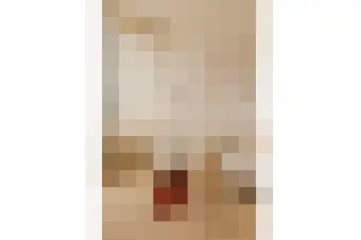 Van Vollenhovenlaan 108 Utrecht thumbnail 6