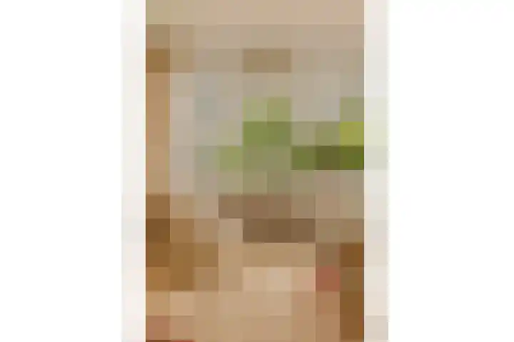 Van Vollenhovenlaan 108 Utrecht thumbnail 7
