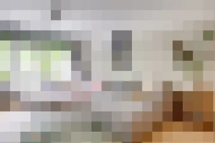 Van Vollenhovenlaan 123 Utrecht thumbnail 10