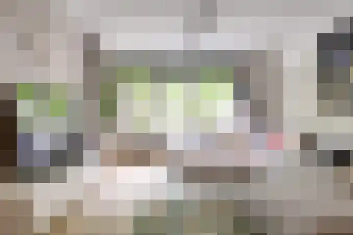 Van Vollenhovenlaan 123 Utrecht thumbnail 11
