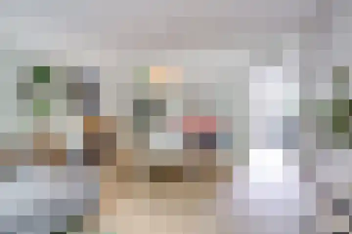 Van Vollenhovenlaan 123 Utrecht thumbnail 13