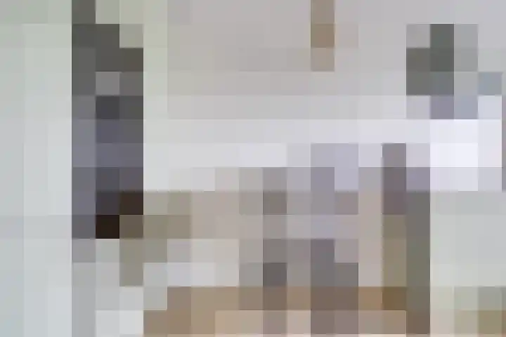 Van Vollenhovenlaan 123 Utrecht thumbnail 16