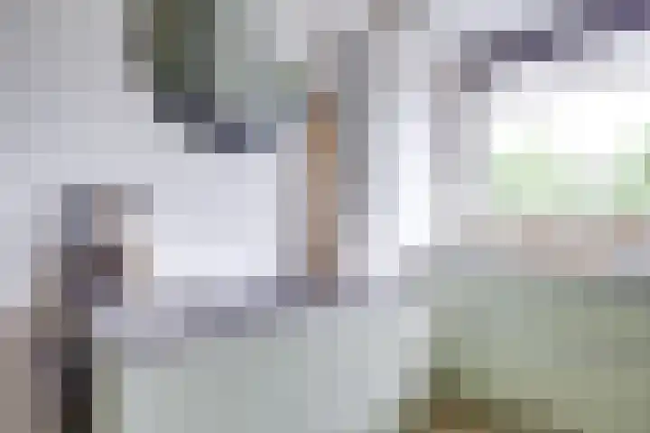 Van Vollenhovenlaan 123 Utrecht thumbnail 17