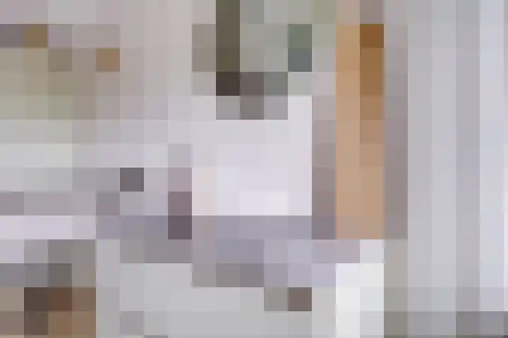 Van Vollenhovenlaan 123 Utrecht thumbnail 19