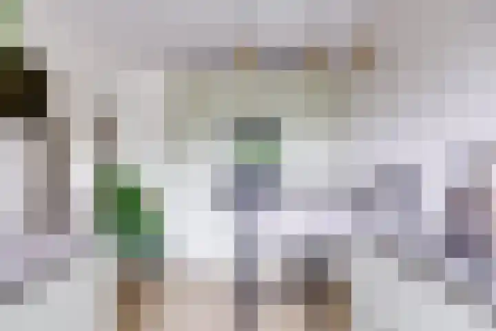 Van Vollenhovenlaan 123 Utrecht thumbnail 20
