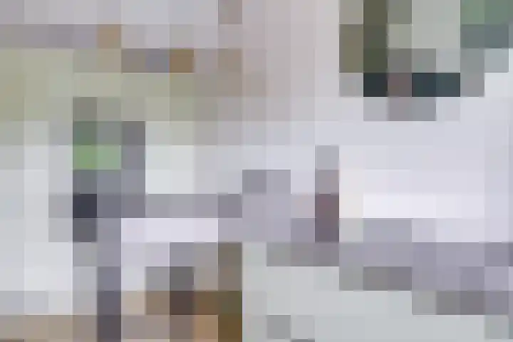 Van Vollenhovenlaan 123 Utrecht thumbnail 23