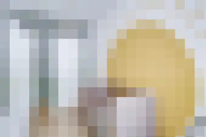 Van Vollenhovenlaan 123 Utrecht thumbnail 29