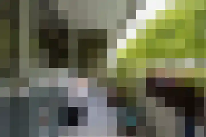 Van Vollenhovenlaan 123 Utrecht thumbnail 38