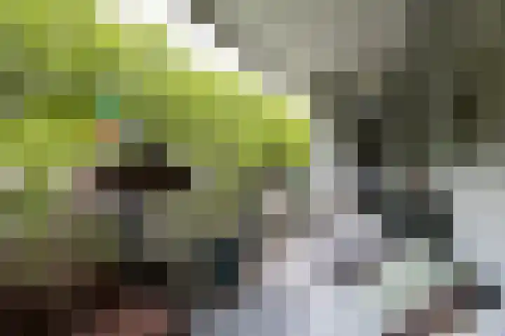 Van Vollenhovenlaan 123 Utrecht thumbnail 40