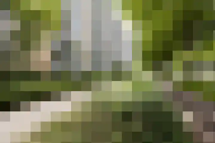 Van Vollenhovenlaan 123 Utrecht thumbnail 47