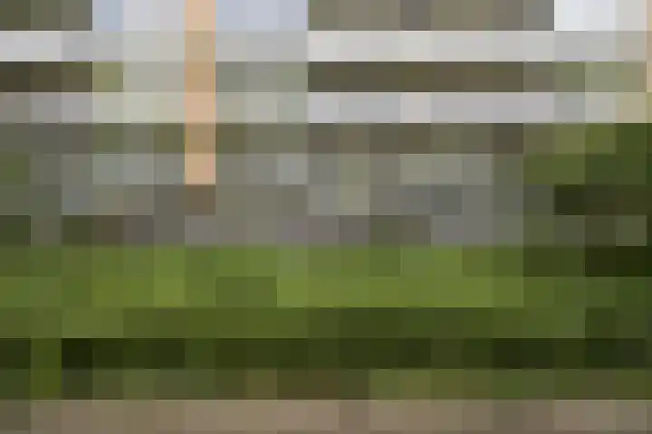 Van Vollenhovenlaan 123 Utrecht thumbnail 48