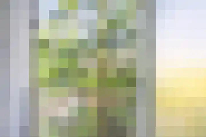 Van Vollenhovenlaan 146 Utrecht thumbnail 21