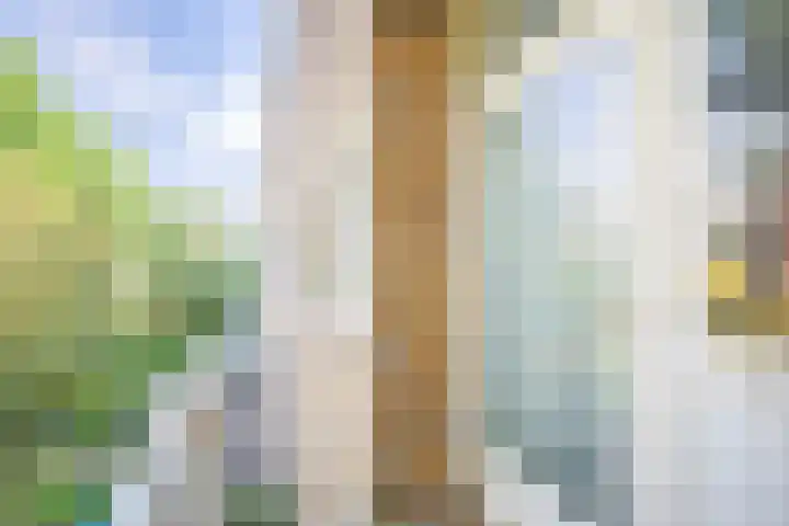 Van Vollenhovenlaan 146 Utrecht thumbnail 22