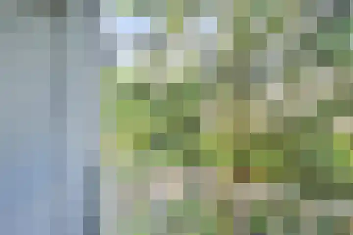 Van Vollenhovenlaan 146 Utrecht thumbnail 23