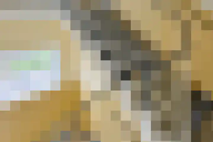 Van Vollenhovenlaan 146 Utrecht thumbnail 37