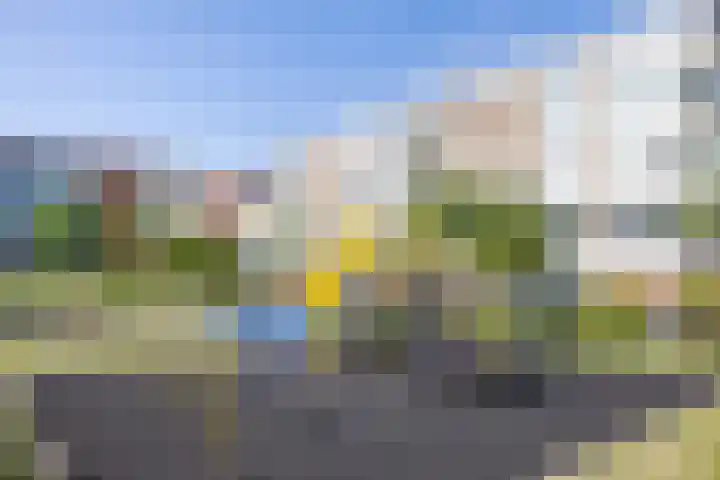 Van Vollenhovenlaan 146 Utrecht thumbnail 39