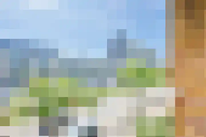 Van Vollenhovenlaan 146 Utrecht thumbnail 6