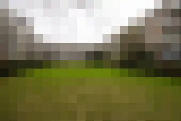 Van Vollenhovenlaan 16 Utrecht thumbnail 13