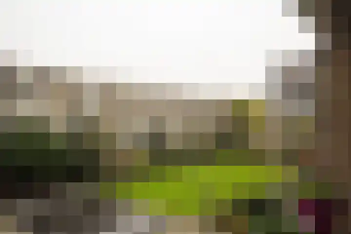 Van Vollenhovenlaan 16 Utrecht thumbnail 7