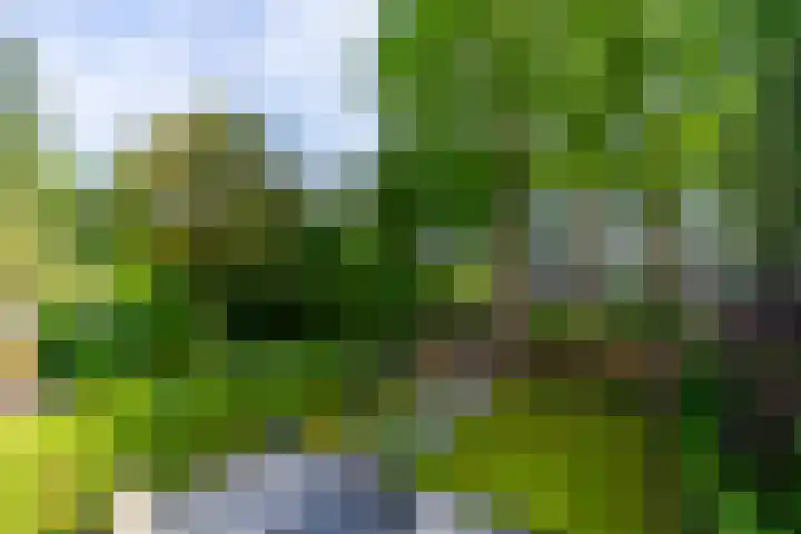 Van Vollenhovenlaan 164 Utrecht thumbnail 10