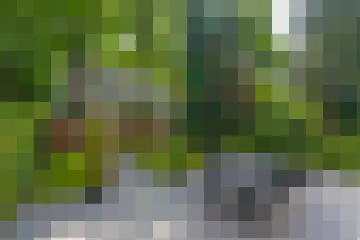 Van Vollenhovenlaan 164 Utrecht thumbnail 11