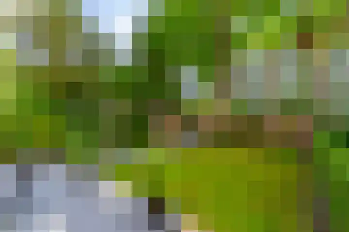 Van Vollenhovenlaan 164 Utrecht thumbnail 12