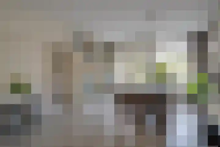 Van Vollenhovenlaan 164 Utrecht thumbnail 5