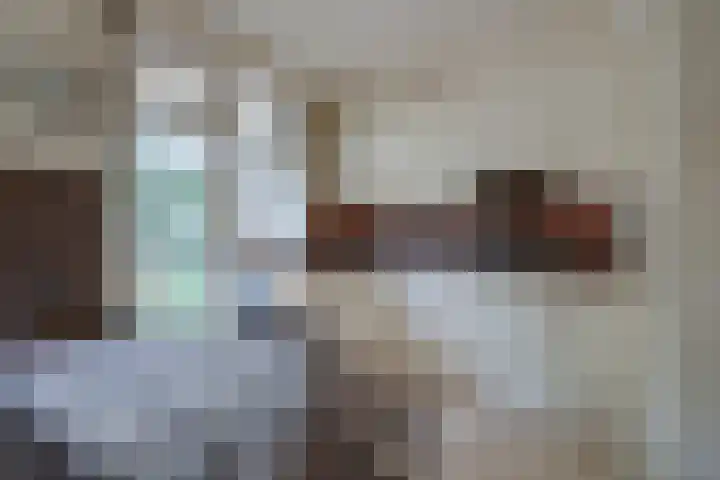 Van Vollenhovenlaan 164 Utrecht thumbnail 8