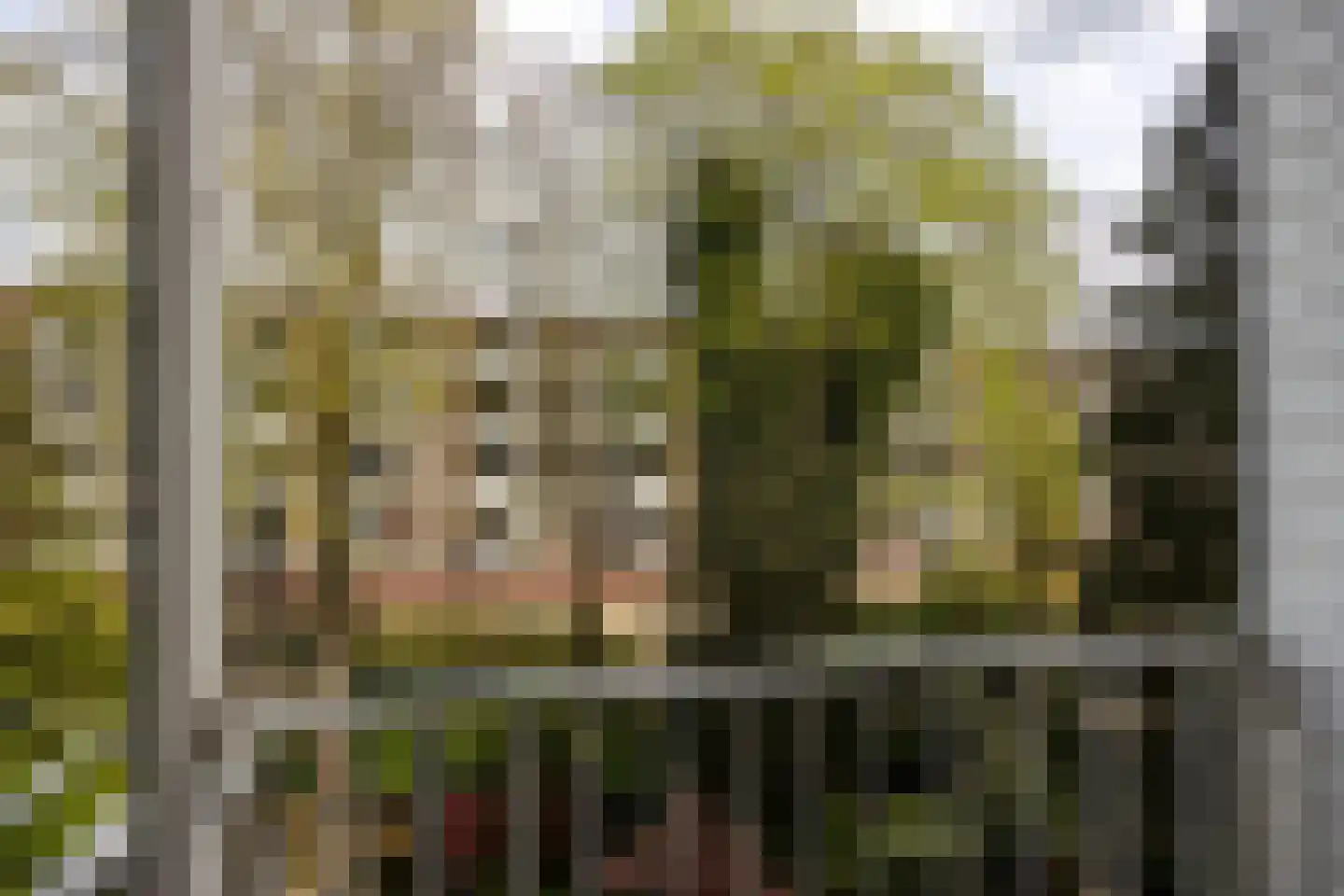 Van Vollenhovenlaan 172 Utrecht thumbnail 17