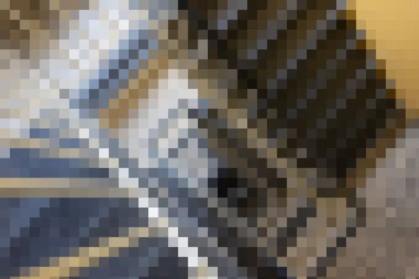 Van Vollenhovenlaan 172 Utrecht thumbnail 26
