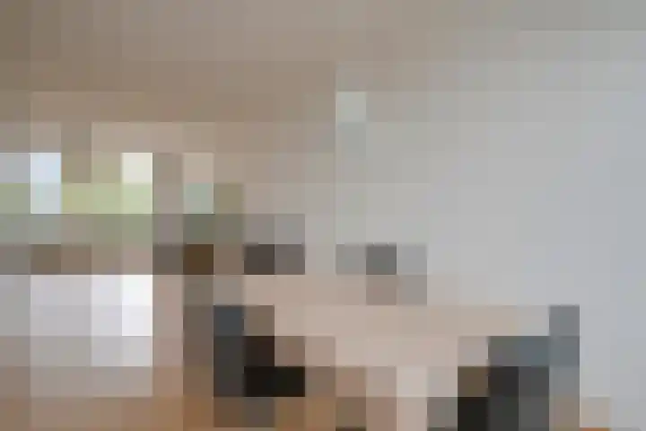 Van Vollenhovenlaan 19 Utrecht thumbnail 10