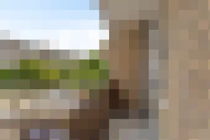 Van Vollenhovenlaan 2 Utrecht thumbnail 10