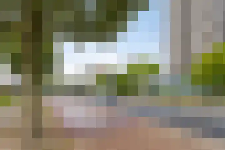 Van Vollenhovenlaan 2 Utrecht thumbnail 19