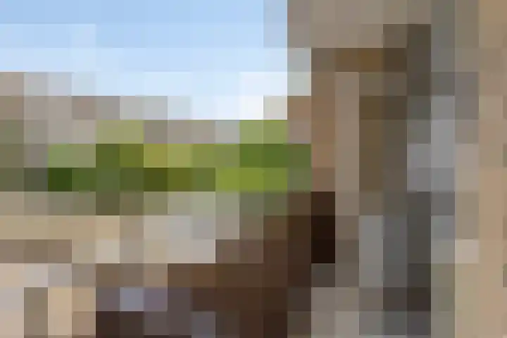 Van Vollenhovenlaan 2 Utrecht thumbnail 9