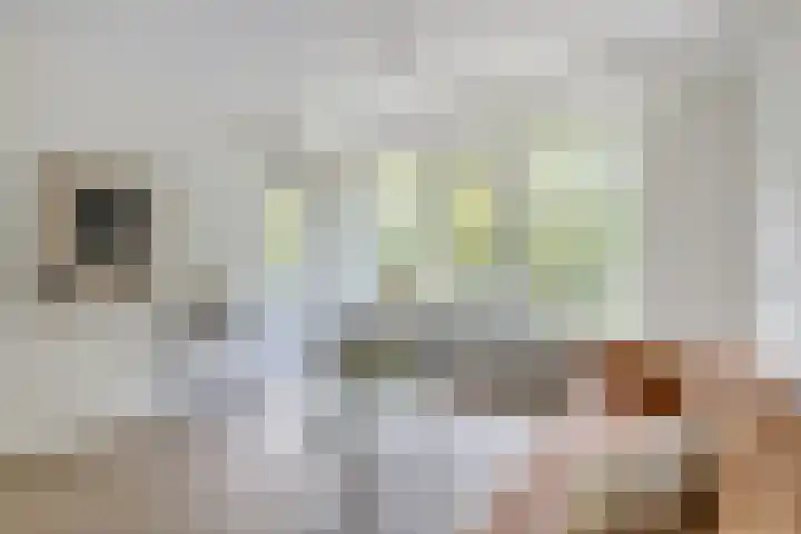 Van Vollenhovenlaan 205 Utrecht thumbnail 11