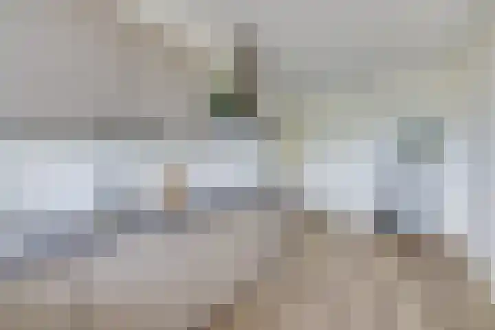 Van Vollenhovenlaan 205 Utrecht thumbnail 15