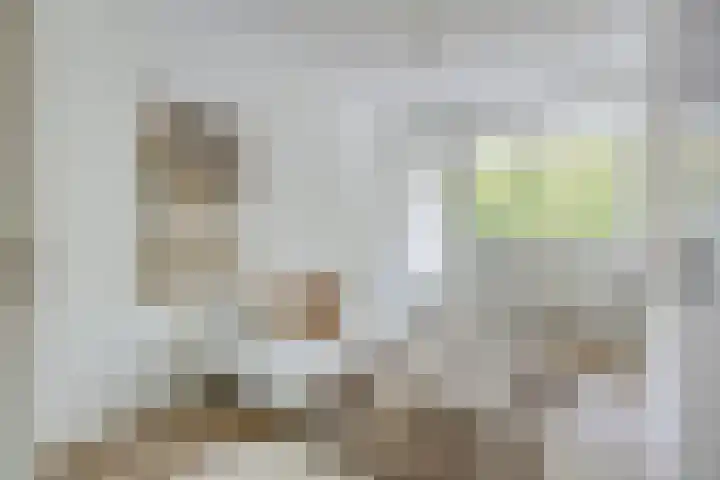 Van Vollenhovenlaan 205 Utrecht thumbnail 19