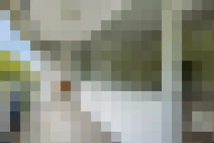 Van Vollenhovenlaan 205 Utrecht thumbnail 23