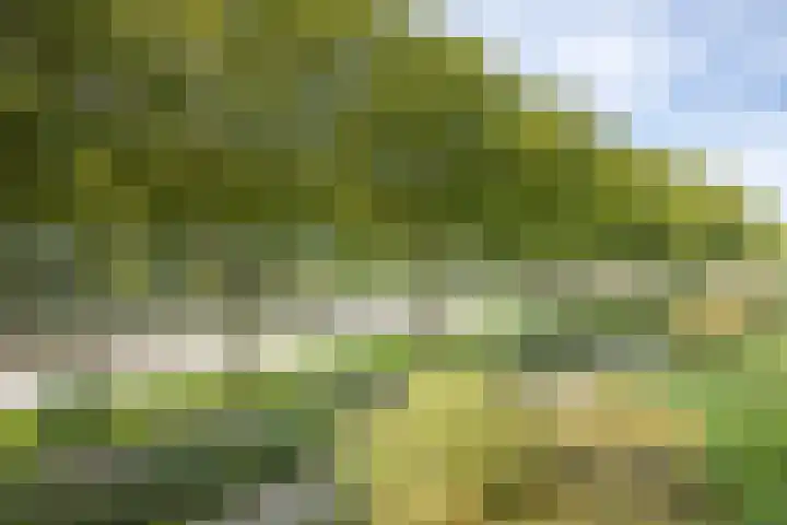 Van Vollenhovenlaan 205 Utrecht thumbnail 24