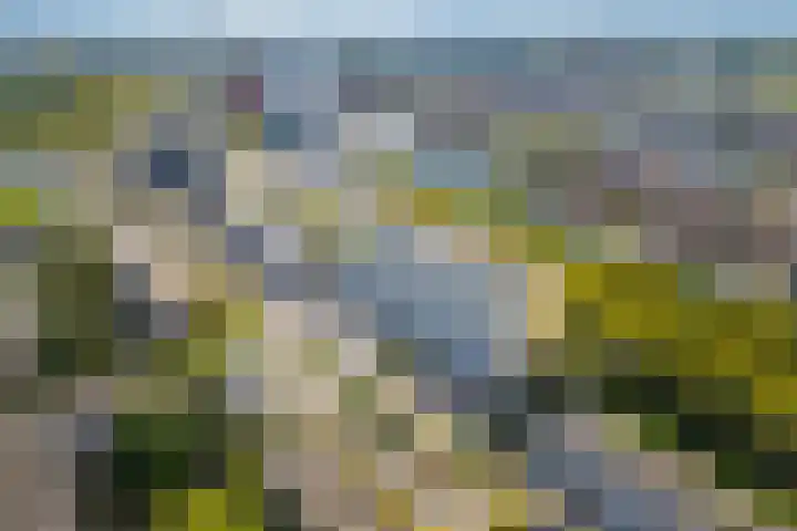 Van Vollenhovenlaan 205 Utrecht thumbnail 26