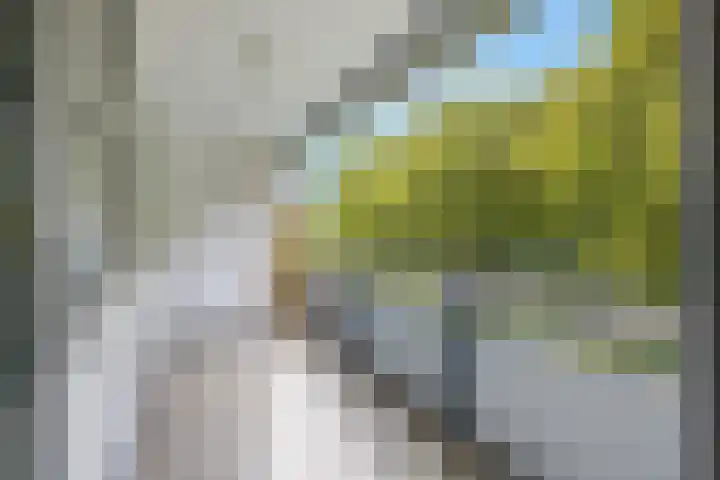 Van Vollenhovenlaan 205 Utrecht thumbnail 4