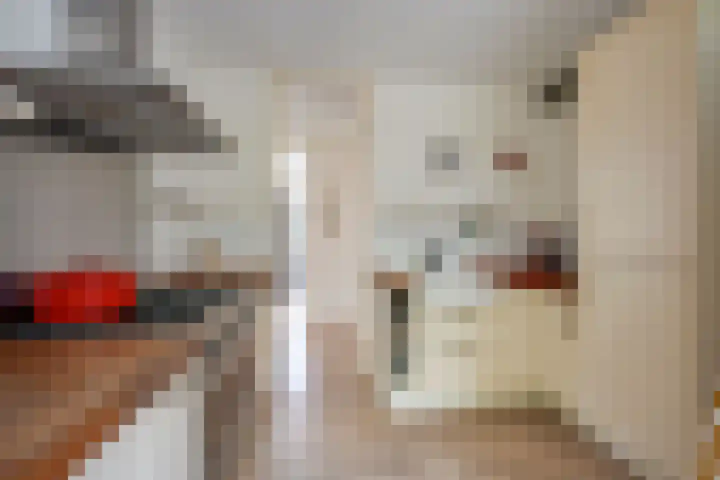 Van Vollenhovenlaan 208 Utrecht thumbnail 20