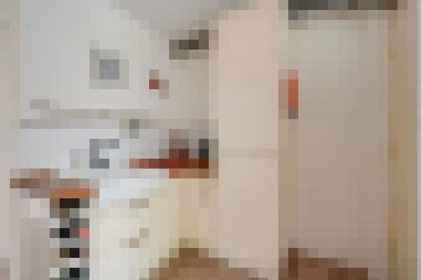 Van Vollenhovenlaan 208 Utrecht thumbnail 21