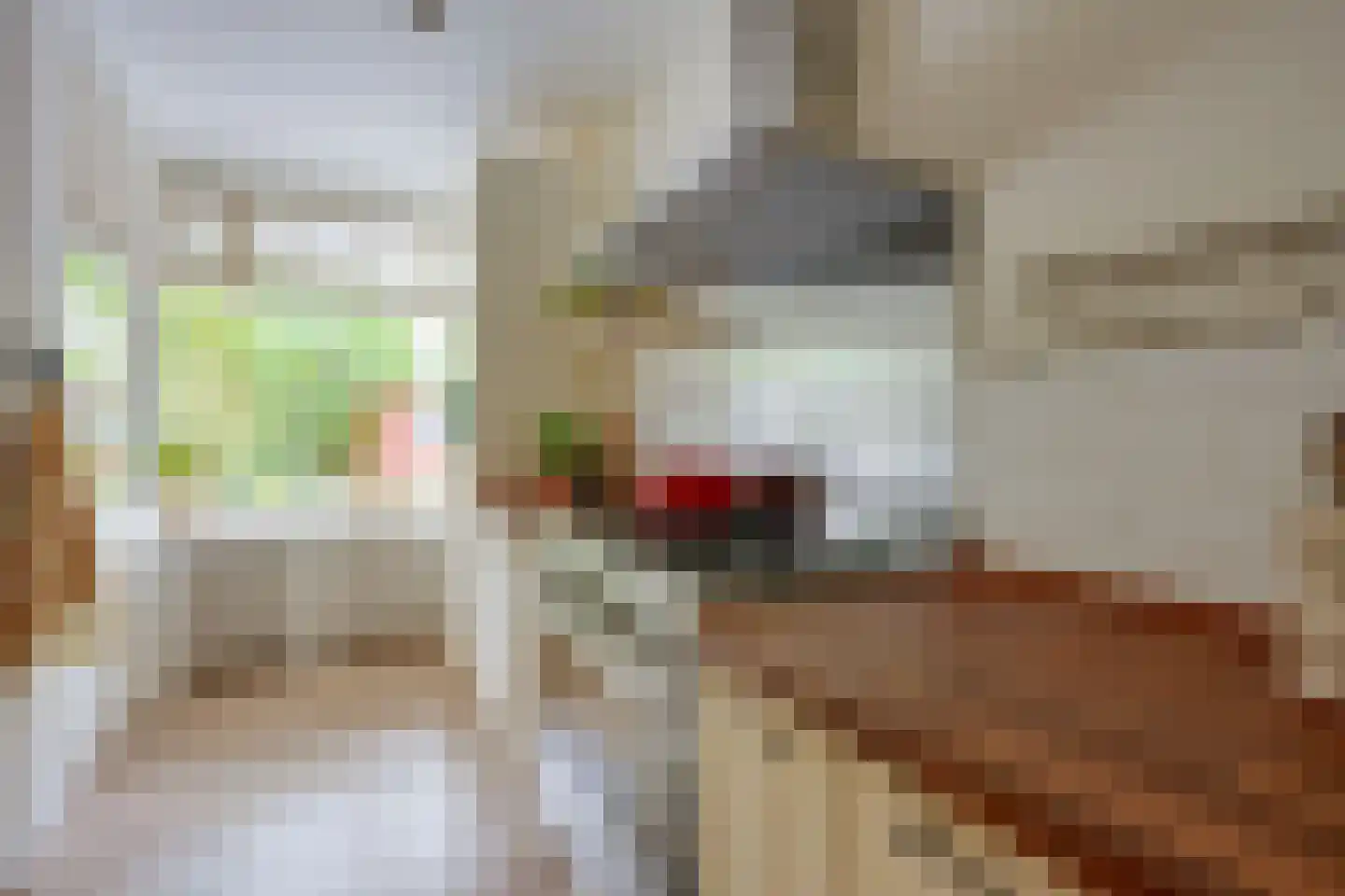 Van Vollenhovenlaan 208 Utrecht thumbnail 22