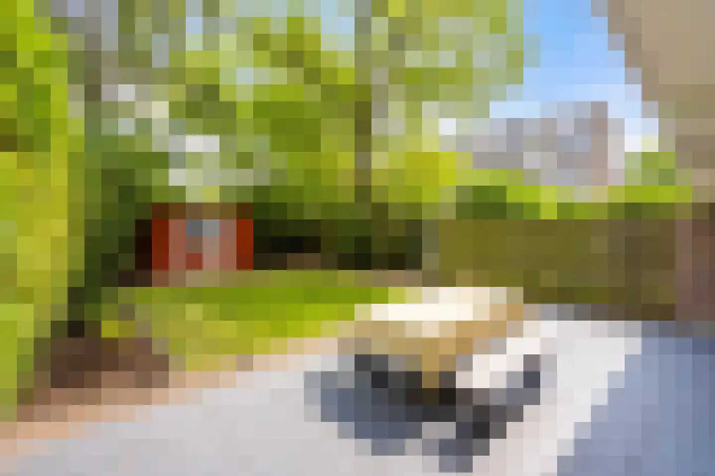 Van Vollenhovenlaan 208 Utrecht thumbnail 34
