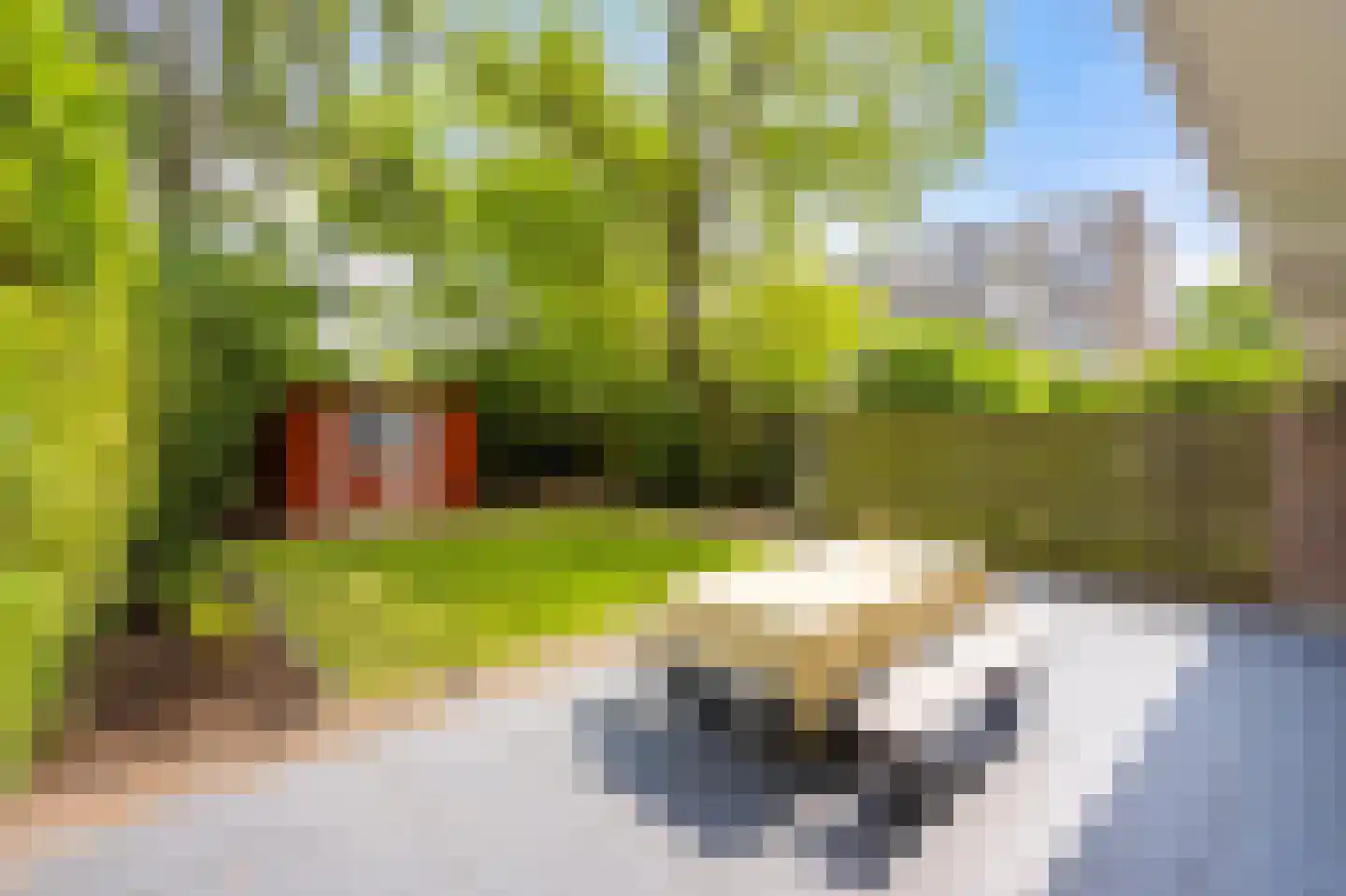 Van Vollenhovenlaan 208 Utrecht thumbnail 35