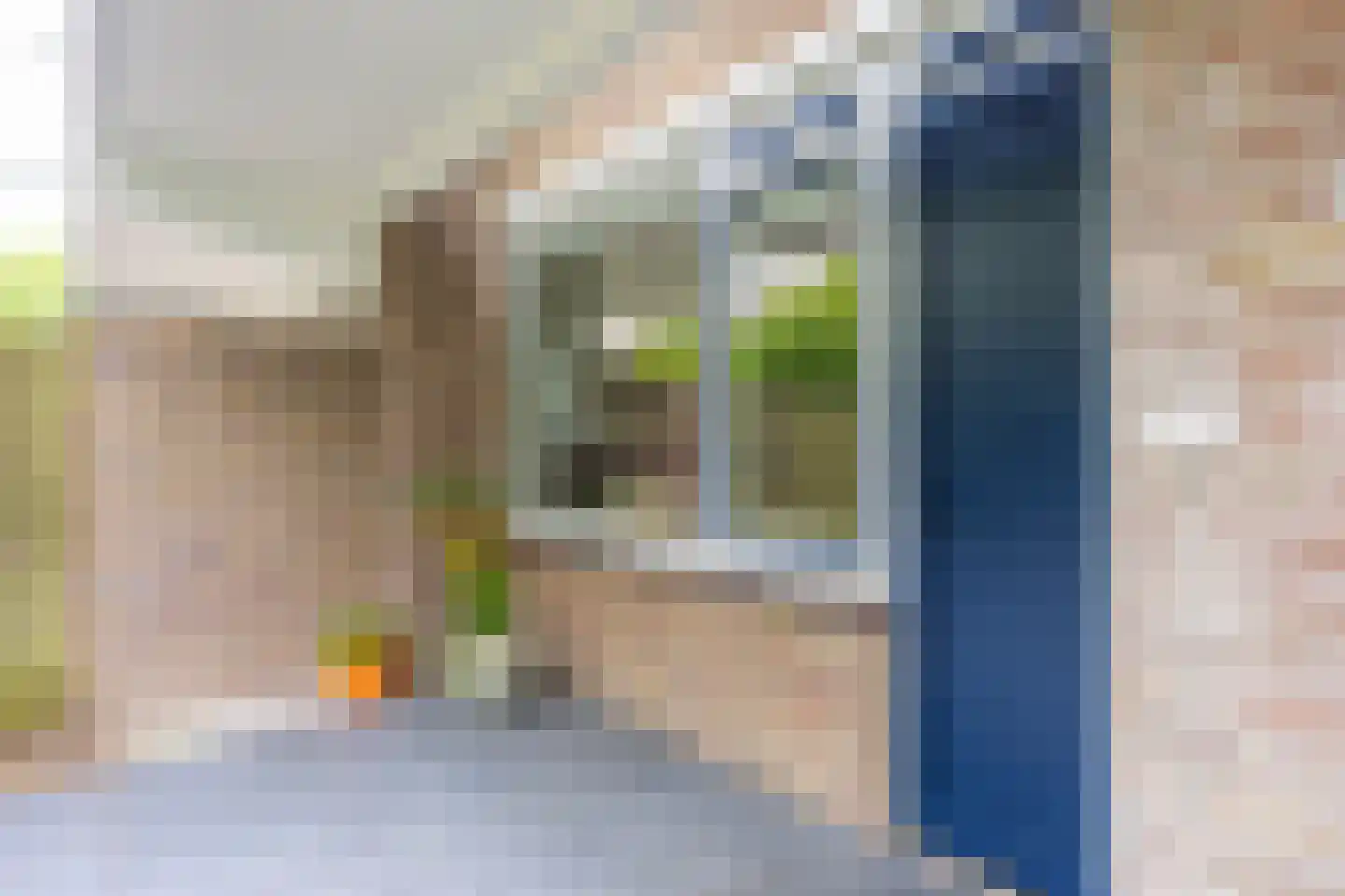 Van Vollenhovenlaan 208 Utrecht thumbnail 38
