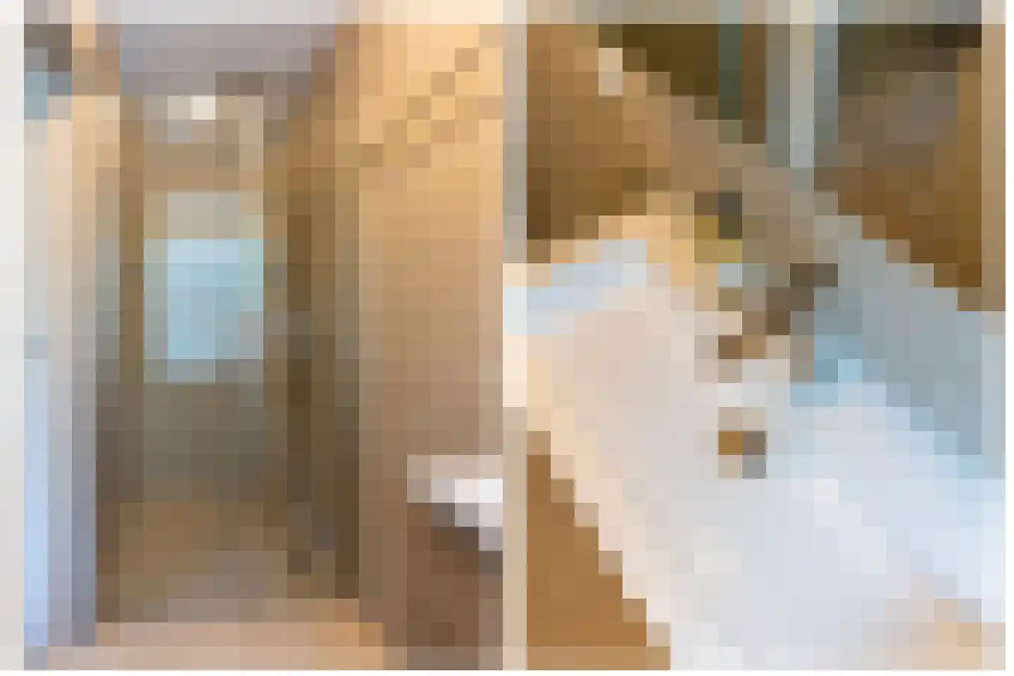 Van Vollenhovenlaan 208 Utrecht thumbnail 4