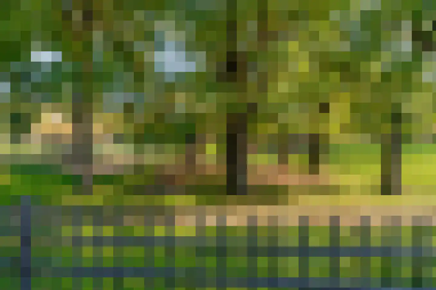 Van Vollenhovenlaan 208 Utrecht thumbnail 40