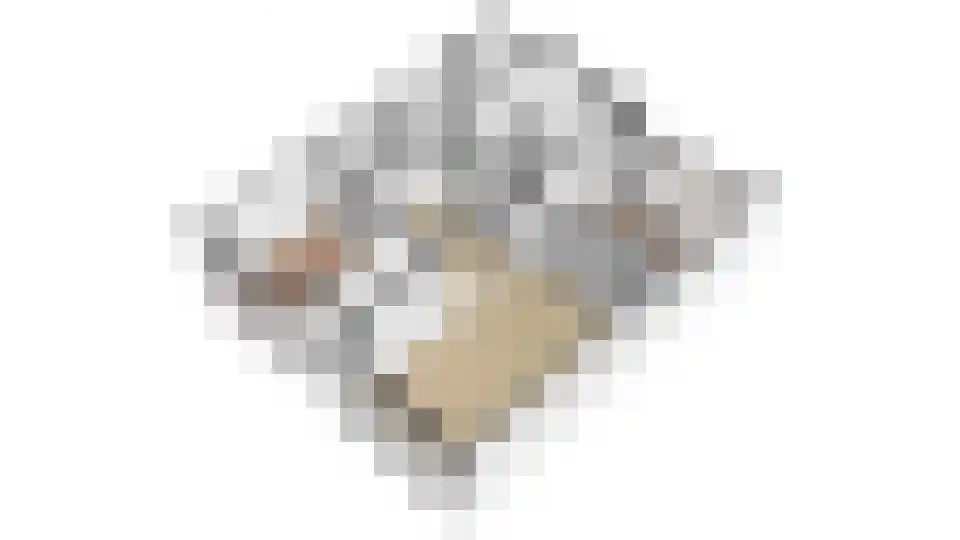 Van Vollenhovenlaan 208 Utrecht thumbnail 49